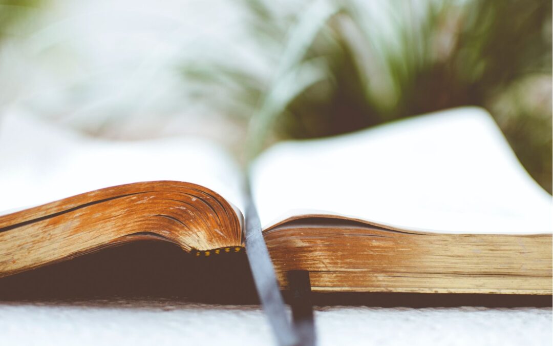 Compassion focused therapy